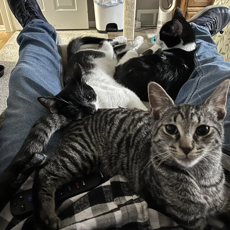 Maverick & Smudge thumbnail 3