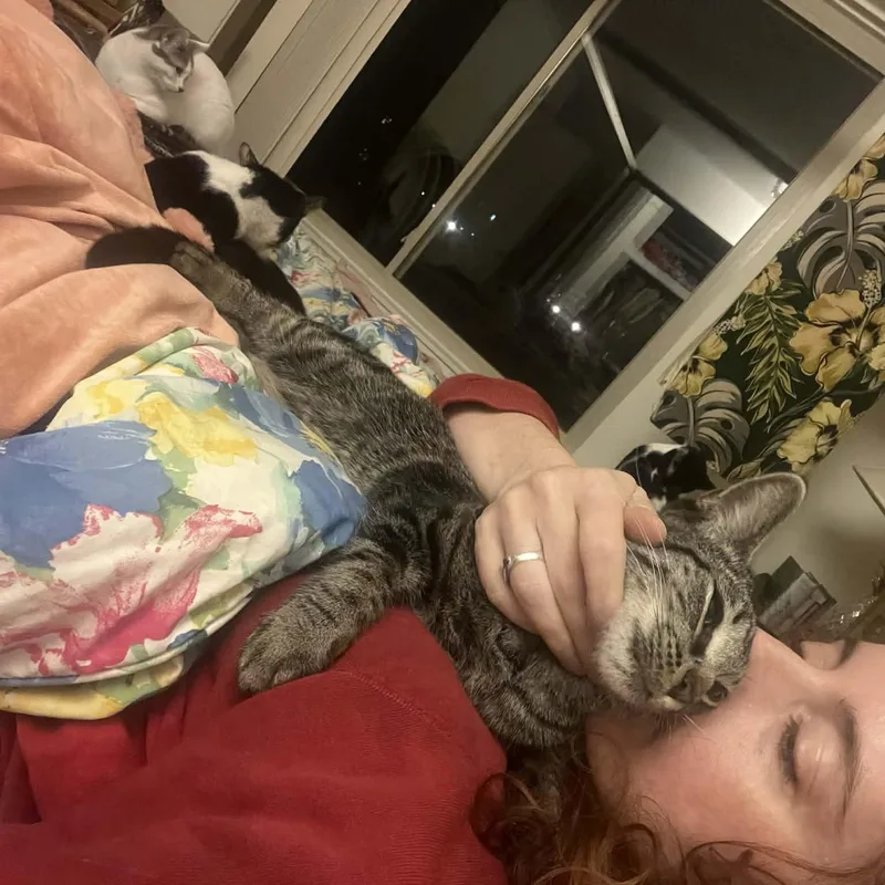 Maverick & Smudge thumbnail 6