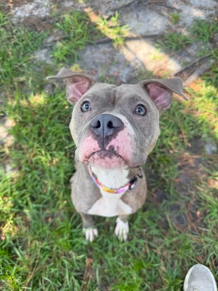 Luna