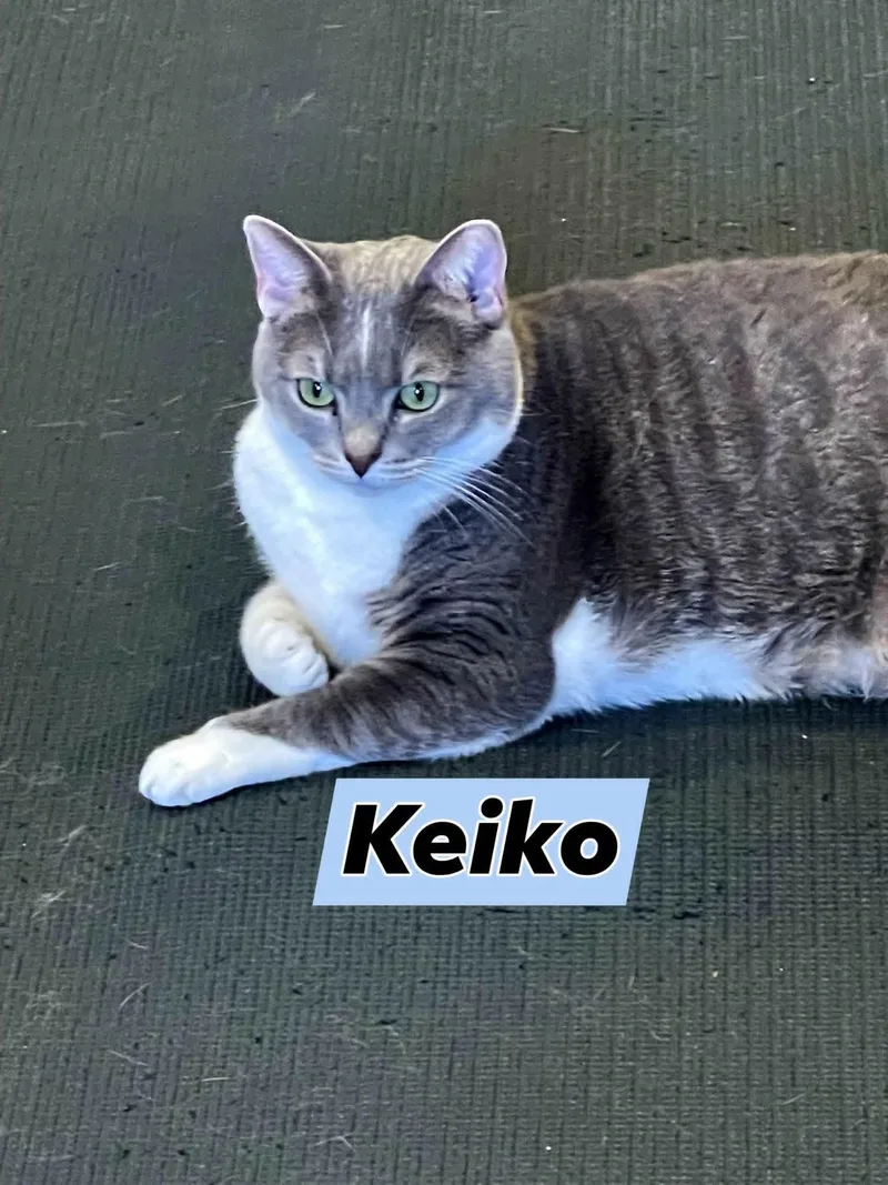Keiko