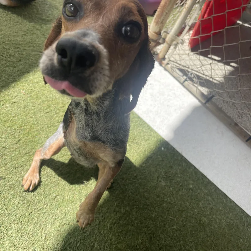 Charlotte thumbnail 3