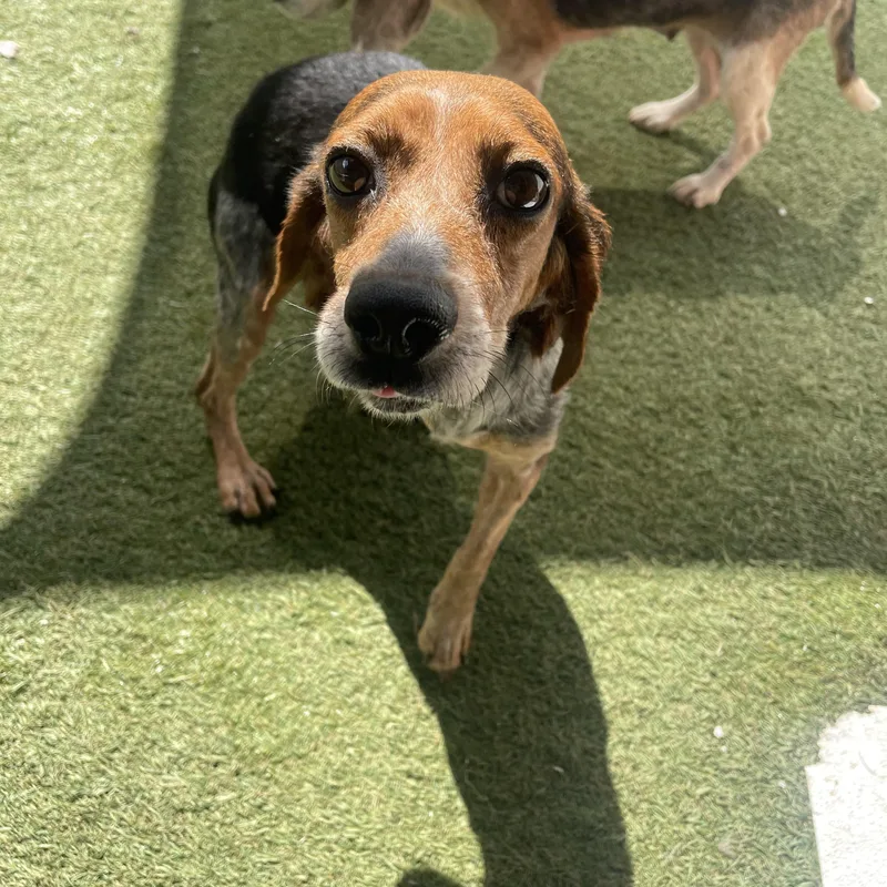 Charlotte thumbnail 4