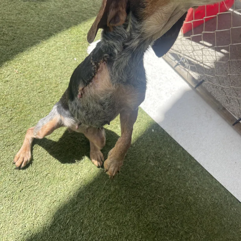 Charlotte thumbnail 5