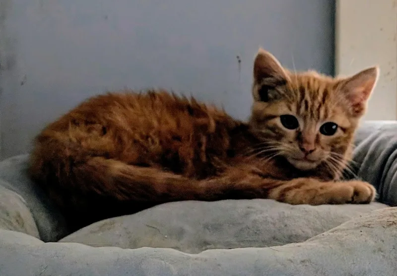 Stuart Simpson thumbnail 2