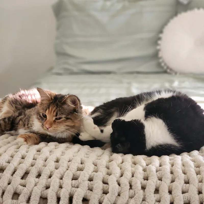 Maggie thumbnail 2