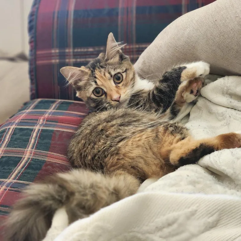 Maggie thumbnail 3