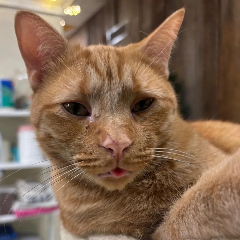 John Deere thumbnail 3