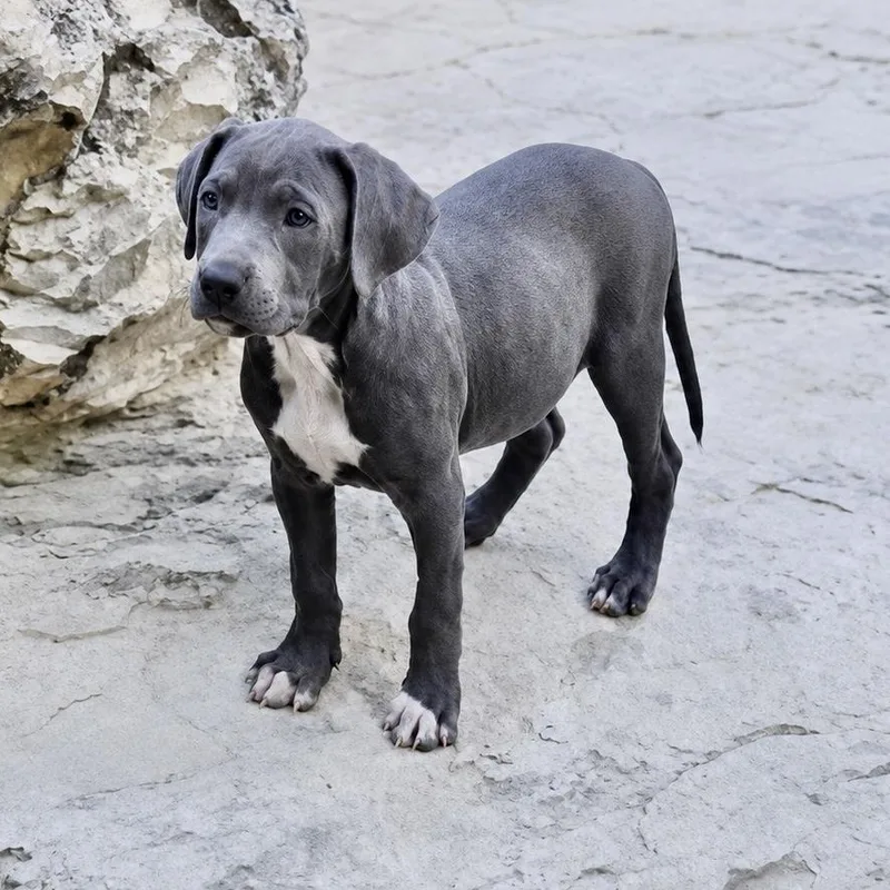 Skye