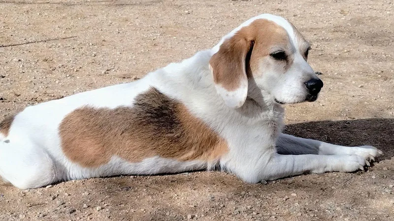 Money Pennyshe's A Bond thumbnail 2