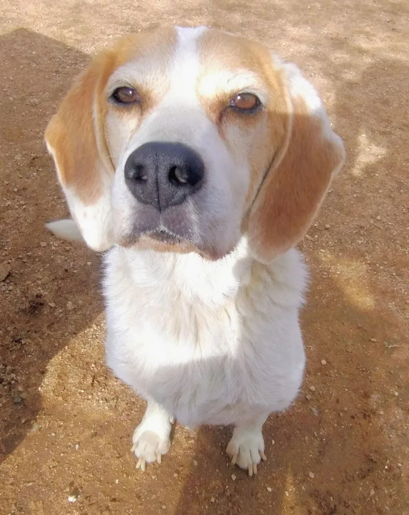 Money Pennyshe's A Bond thumbnail 3