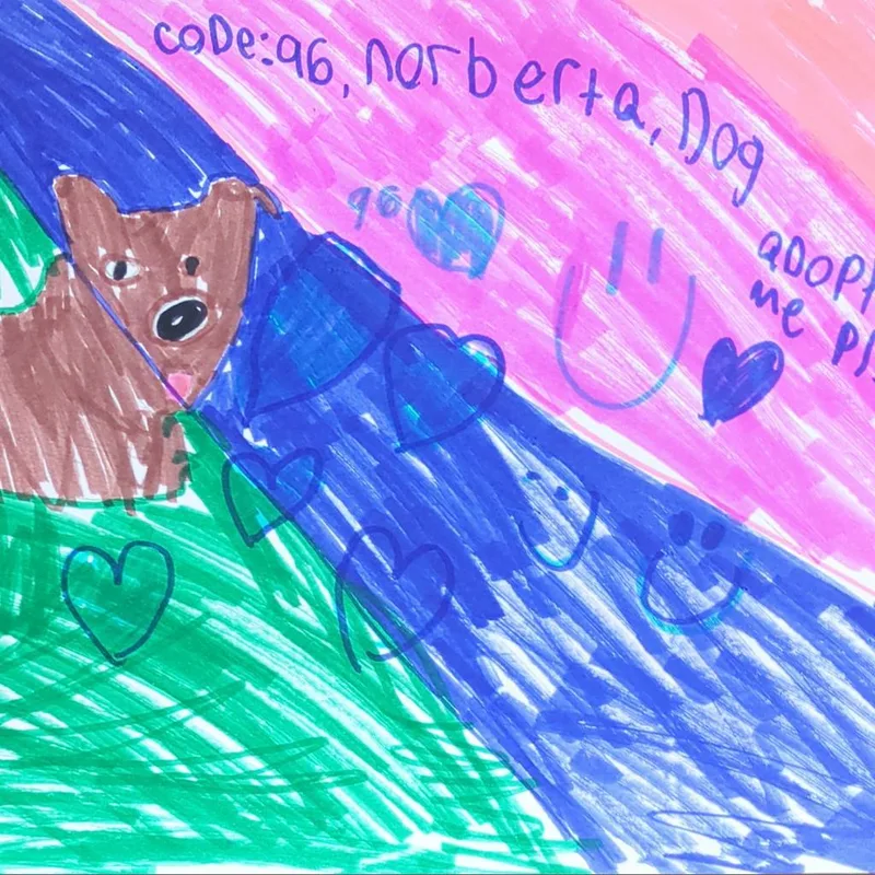 Norberta thumbnail 4