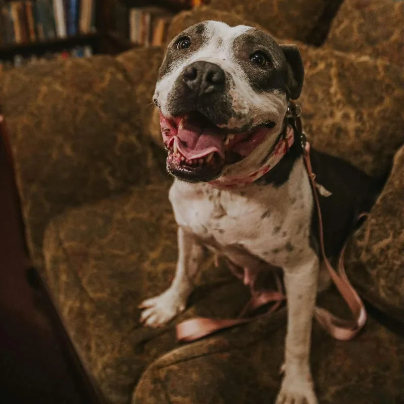 Miss Molly thumbnail 2