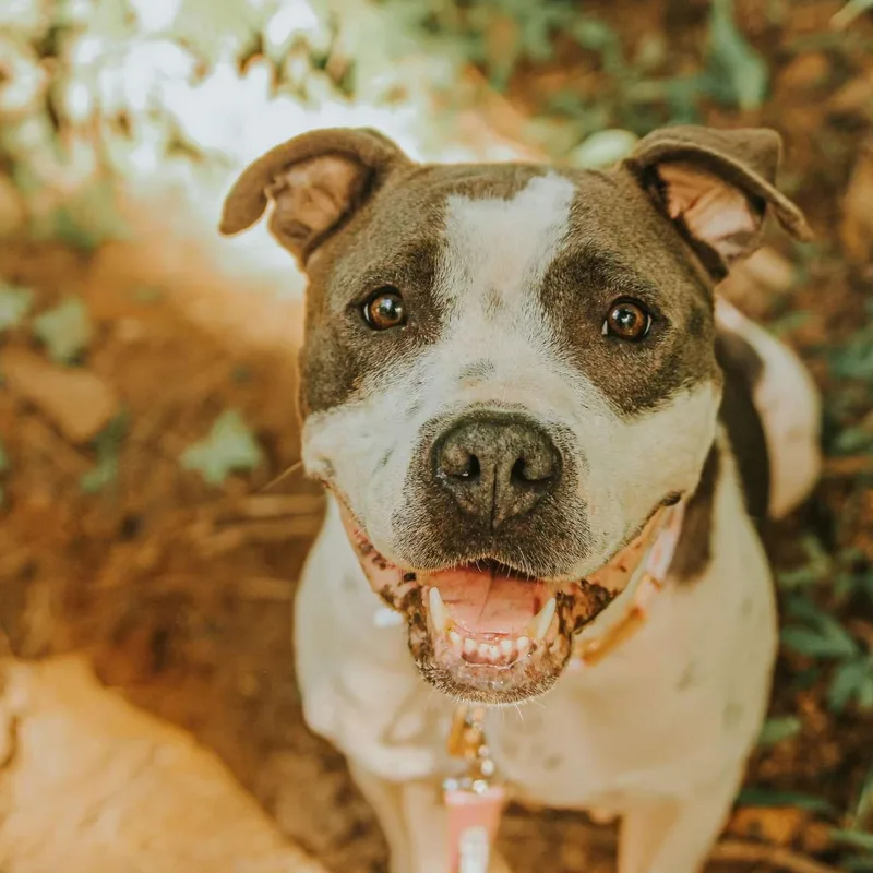 Miss Molly thumbnail 4