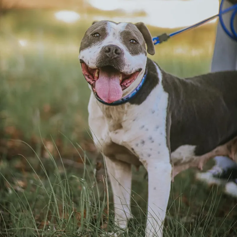 Miss Molly thumbnail 5