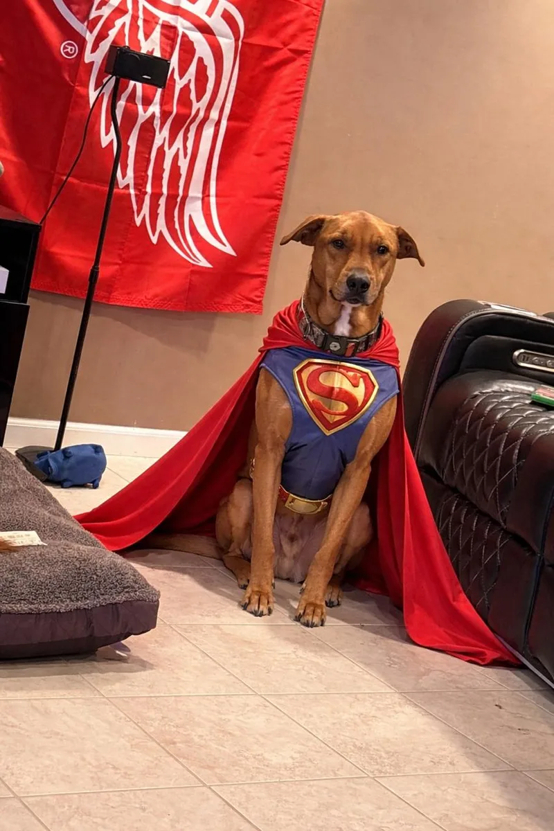 Andrew Besties with