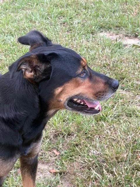 Oscar