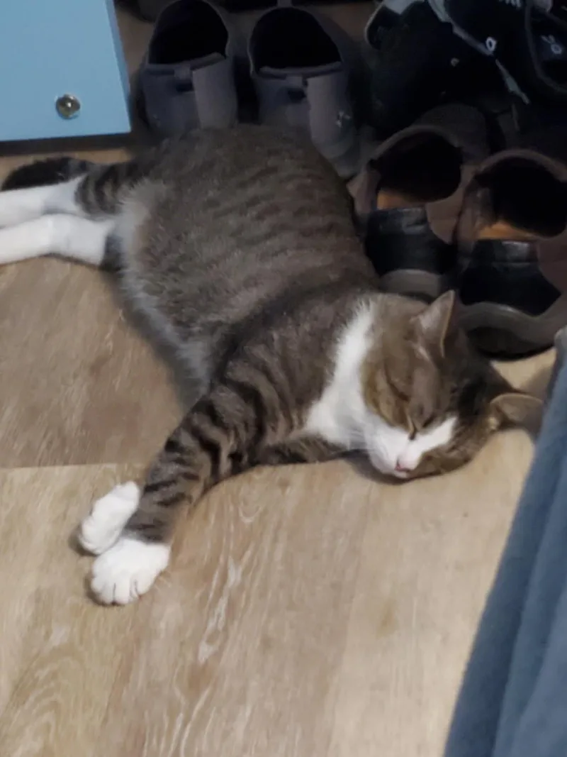 Meet KentHandsome  Sweet thumbnail 2