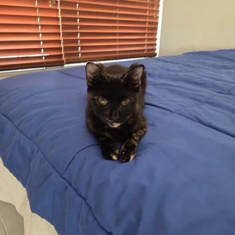 Maggie