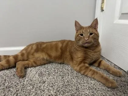 Billy Joe thumbnail 3