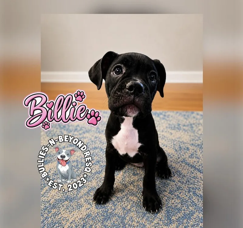Billie