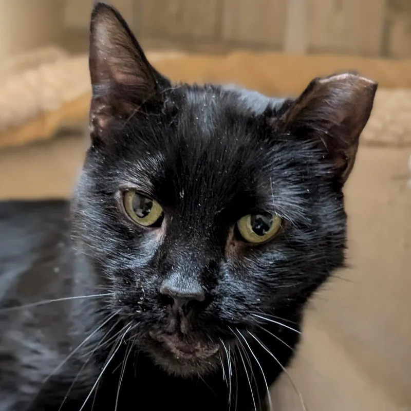 Harper  Reduced Fee!