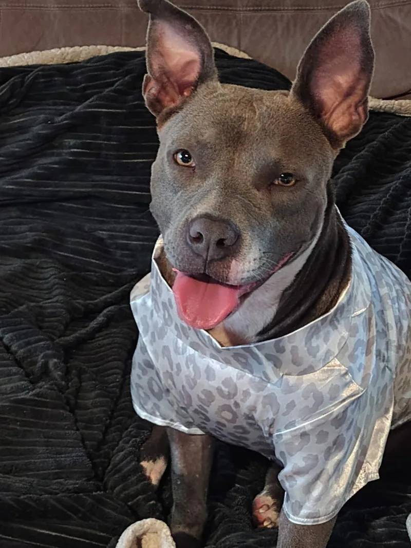 Lena
