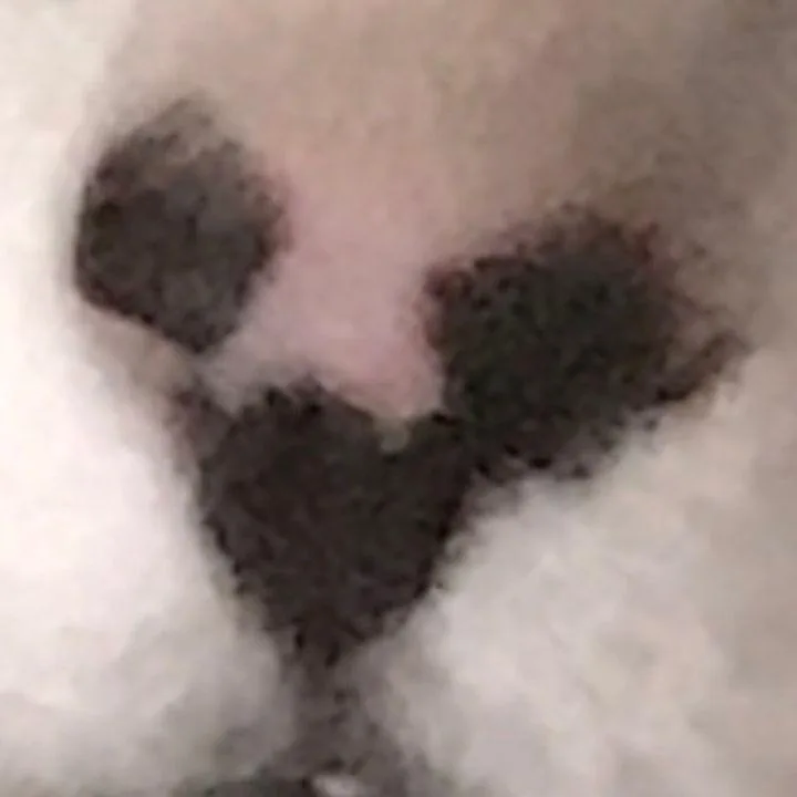 Mickey Mouse thumbnail 2