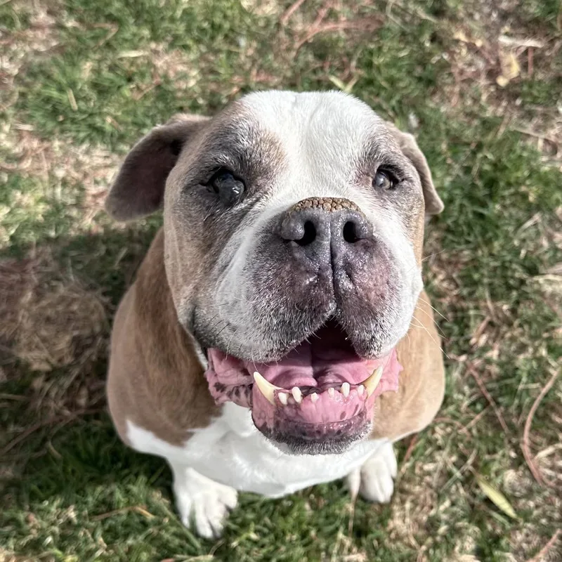 Kingston thumbnail 2