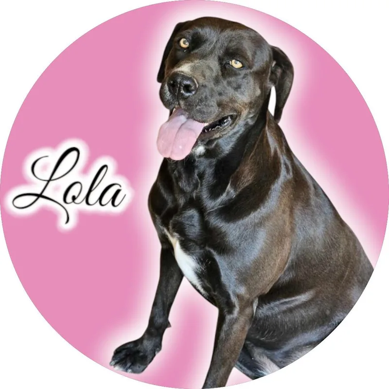 Lola thumbnail 4