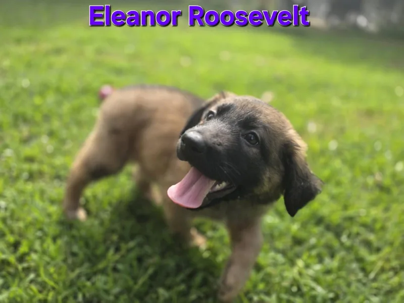 Eleanor Roosevelt