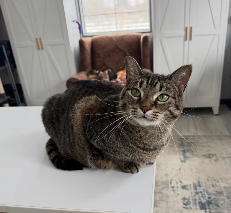 Stephanie thumbnail 2