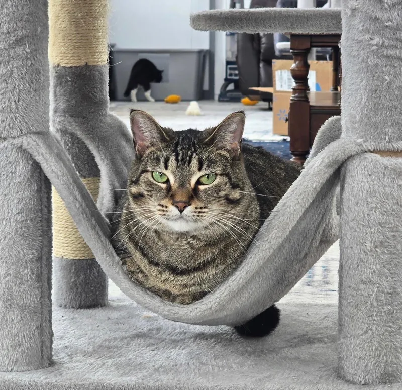 Stephanie thumbnail 3