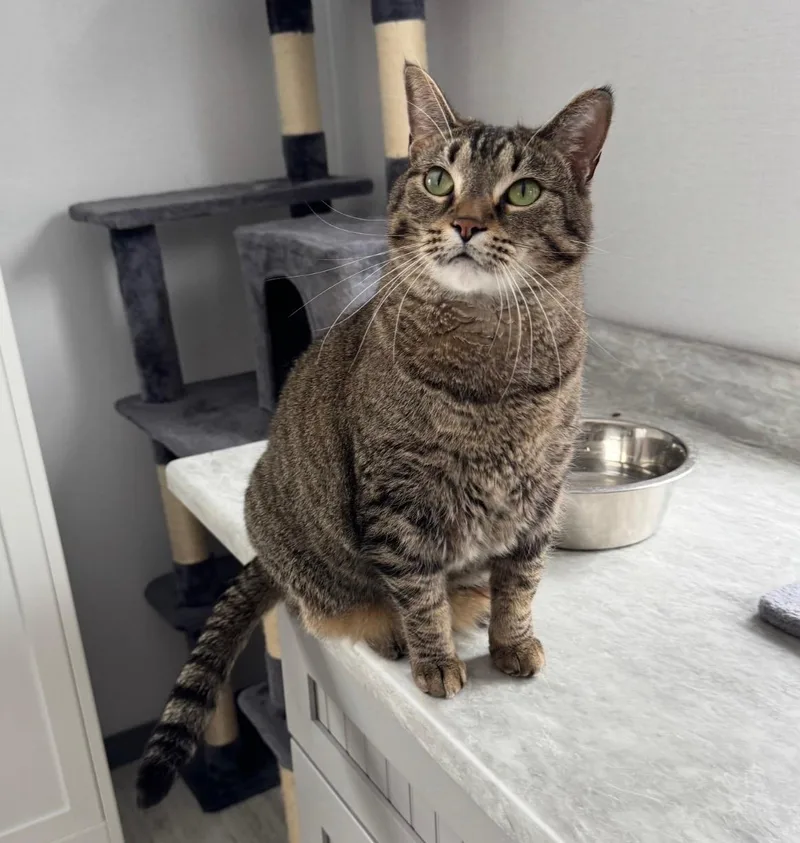 Stephanie thumbnail 4