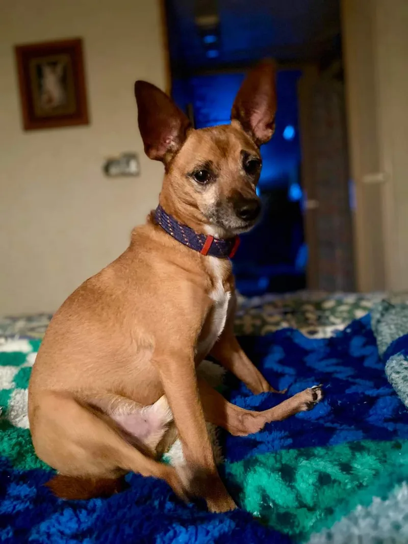 Axel