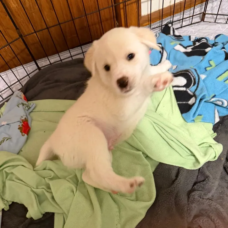 Home Run thumbnail 2