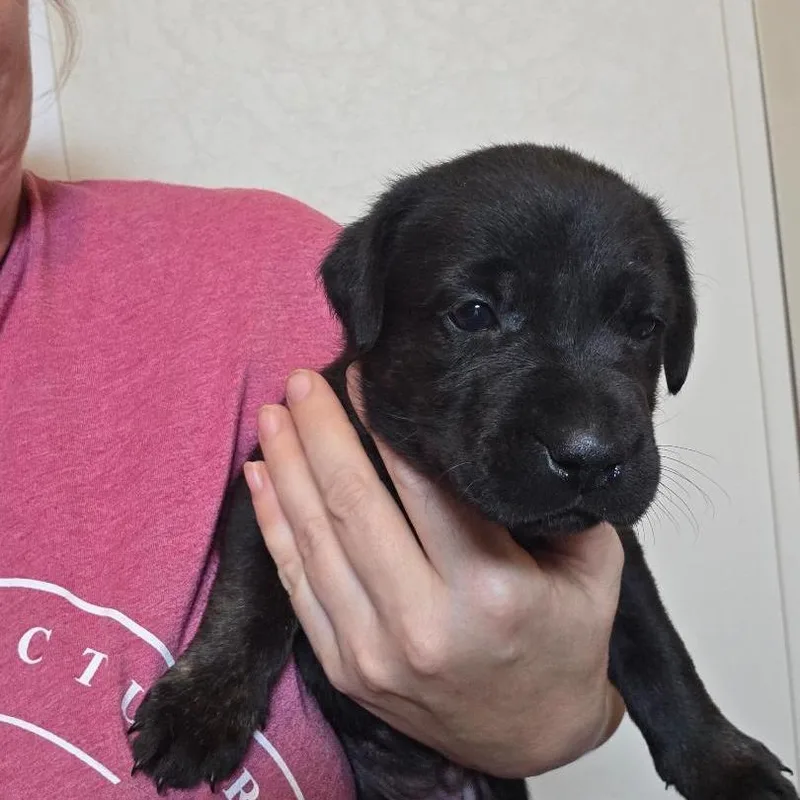 Tessa thumbnail 3