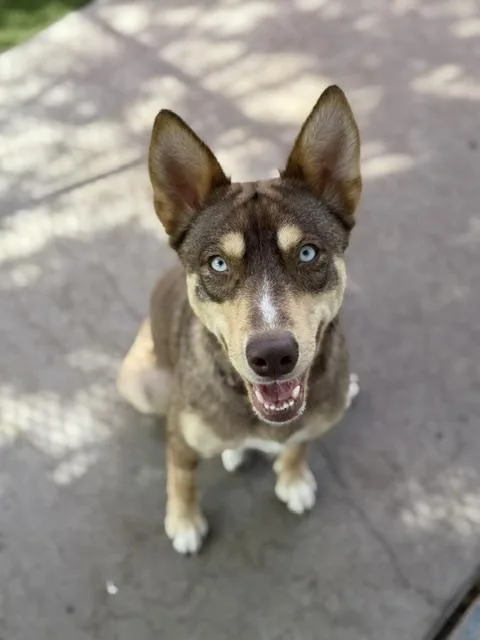 Teagan