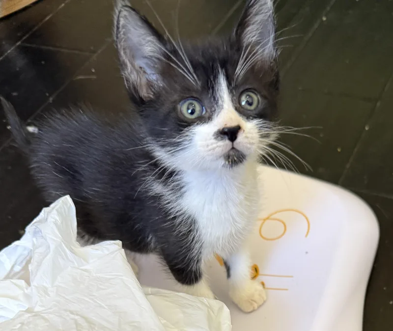 Jack Mcphee thumbnail 2