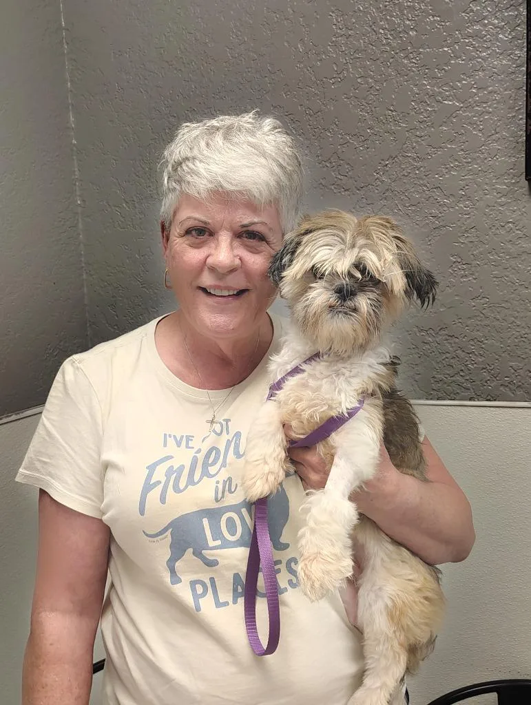 A senior small-sized female Shih Tzu dog named Nadine for adoption in Fort Worth, TX