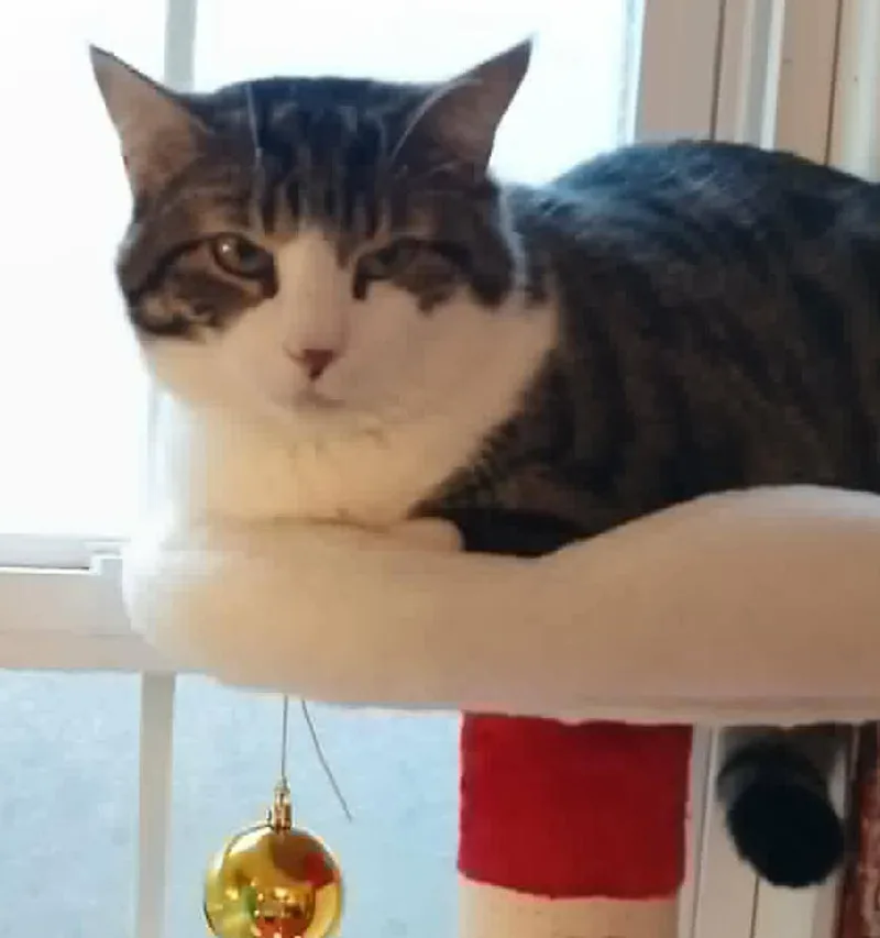 Brandy & Sassy thumbnail 2