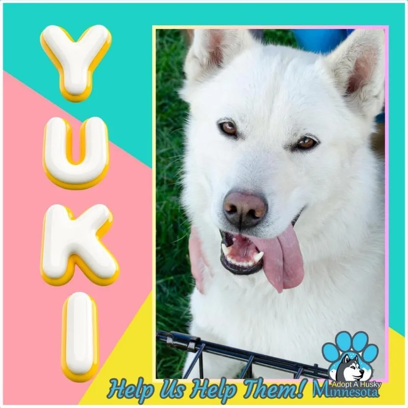 Yuki