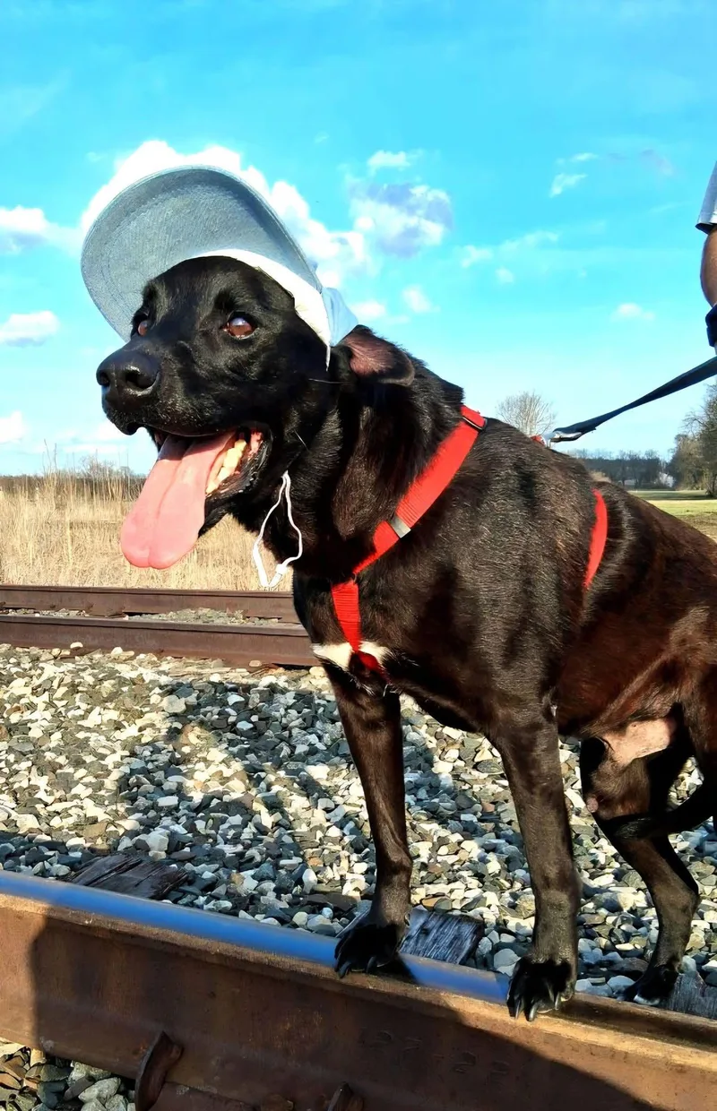 Tzatziki thumbnail 2