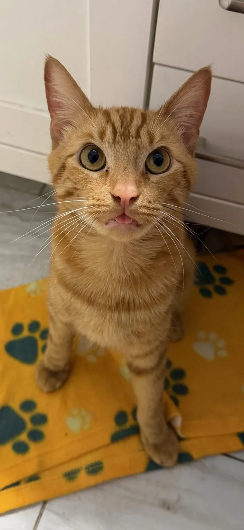 Twiggy Smalls thumbnail 3