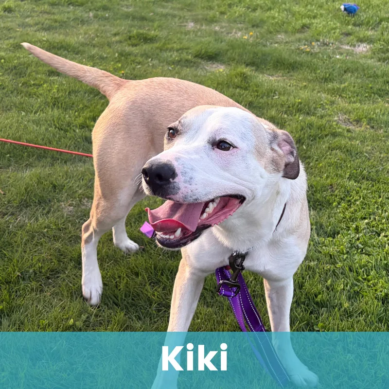 Kiki