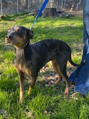 Tommilyn thumbnail 2