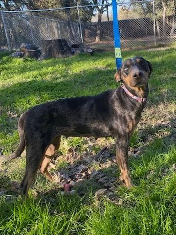 Tommilyn thumbnail 3