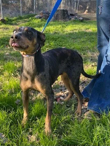 Tommilyn thumbnail 4