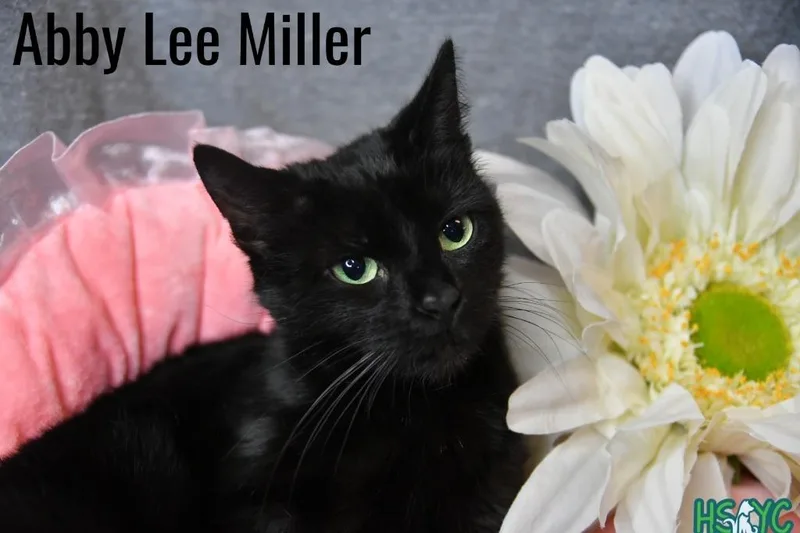 Abby Lee Miller thumbnail 3