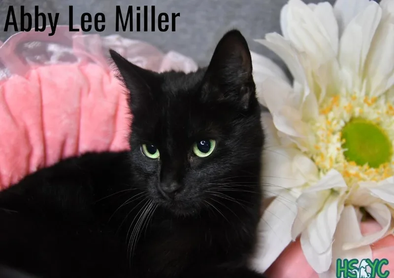 Abby Lee Miller thumbnail 4