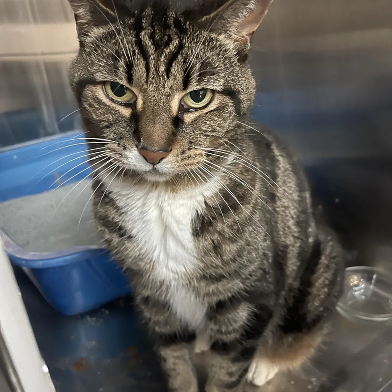 Lucy Bac thumbnail 2